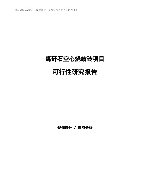 煤矸石空心烧结砖项目可行性研究报告样例参考模板