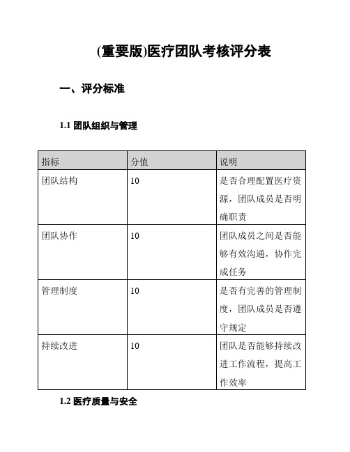 (重要版)医疗团队考核评分表