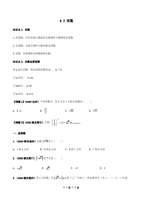 6.3 实数(原卷版)-2020-2021学年七年级下册数学精讲精练(人教版)