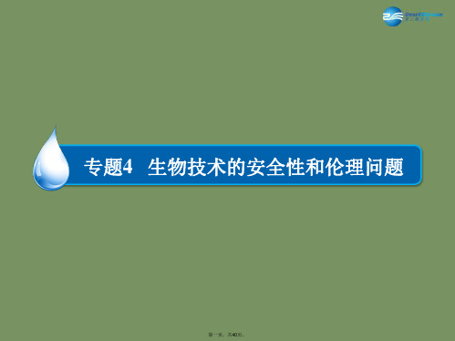 高中生物 41 转基因生物的安全性课件 新人教版选修3