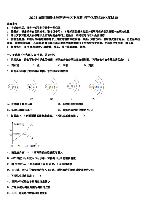 2025届湖南省株洲市天元区下学期初三化学试题化学试题含解析