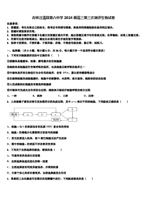 吉林汪清县第六中学2024届高三第三次测评生物试卷含解析