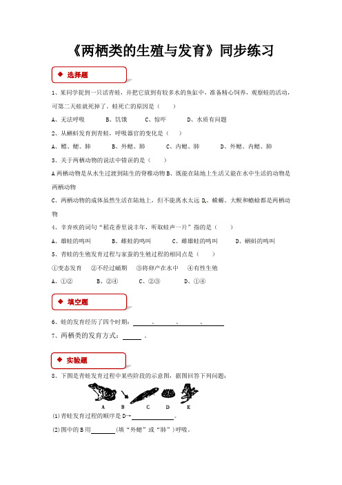 苏教版八年级生物下册同步练习 两栖类的生殖与发育