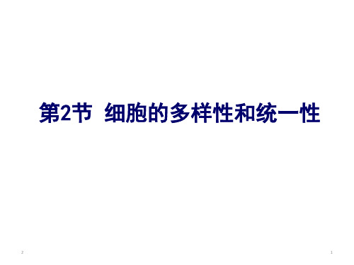 人教版生物必修一1.2细胞的多样性和统一性(共46张ppt)