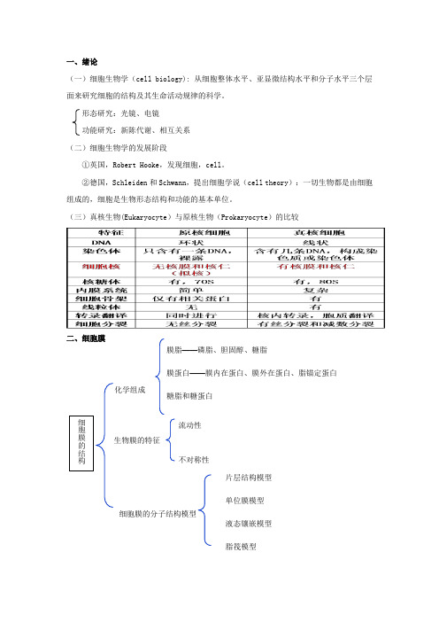 细胞生物学-总结-重点框架及理解知识(上)