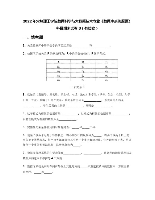 2022年常熟理工学院数据科学与大数据技术专业《数据库系统原理》科目期末试卷B(有答案)