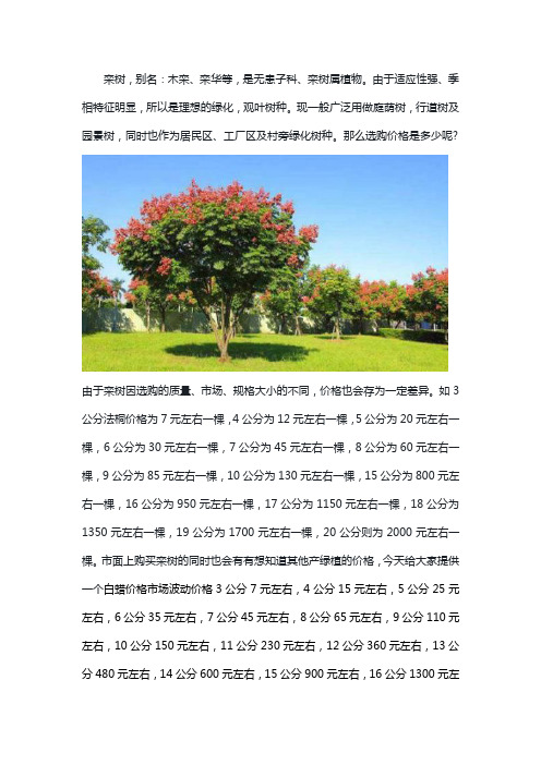 今年栾树价格