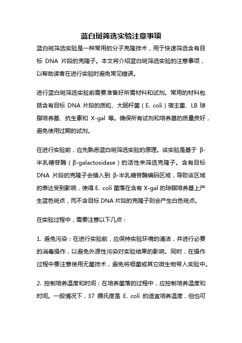 蓝白斑筛选实验注意事项