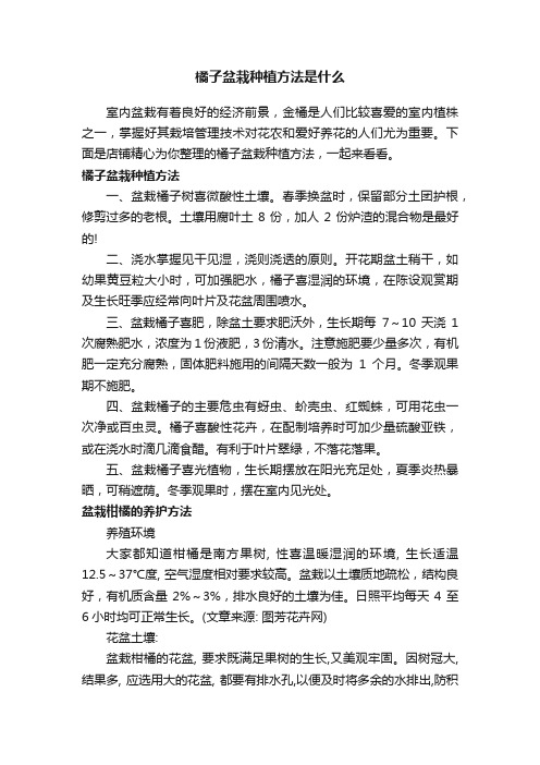 橘子盆栽种植方法是什么