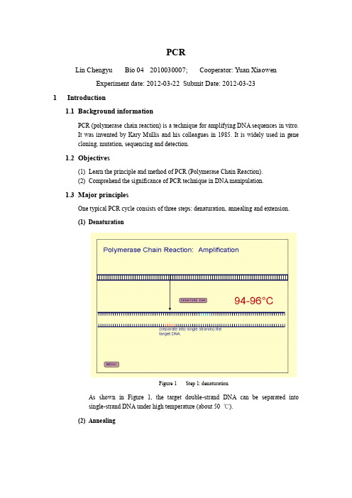 PCR实验报告(分子生物学实验)