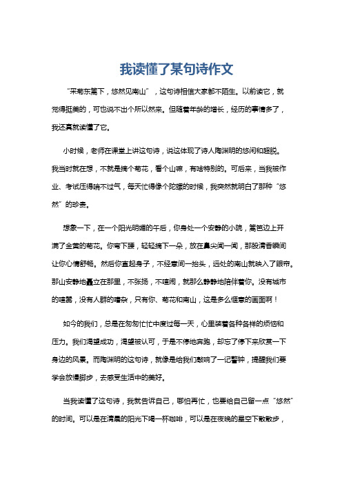 我读懂了某句诗作文