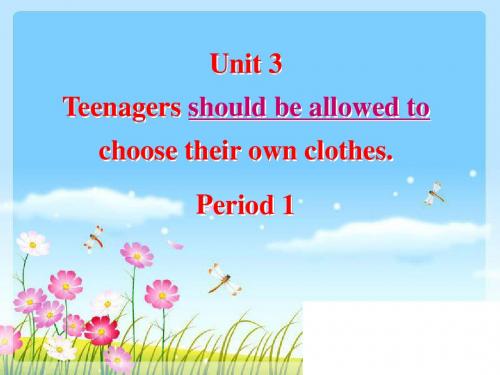 unit3 teenagers should be allowed to choose their clothes课件