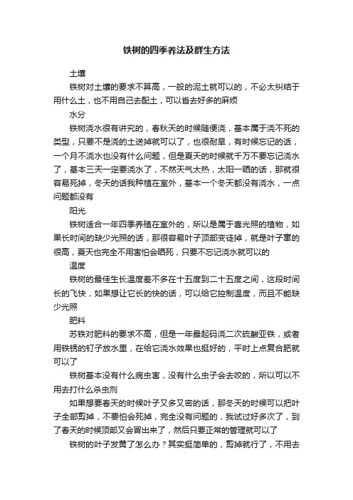 铁树的四季养法及群生方法