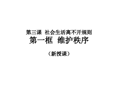 人教版八年级上册道德与法治 3.1 维护秩序 课件