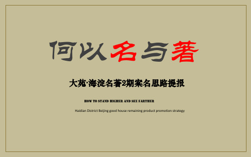 房地产品牌海淀名著二期案名思品牌传播推广方案