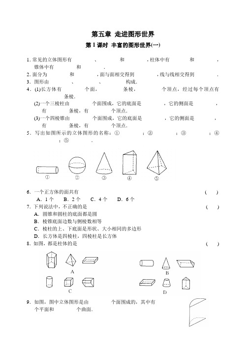 七上 走进图形世界 第1课时 丰富的图形世界(一)练习 含答案 题型全