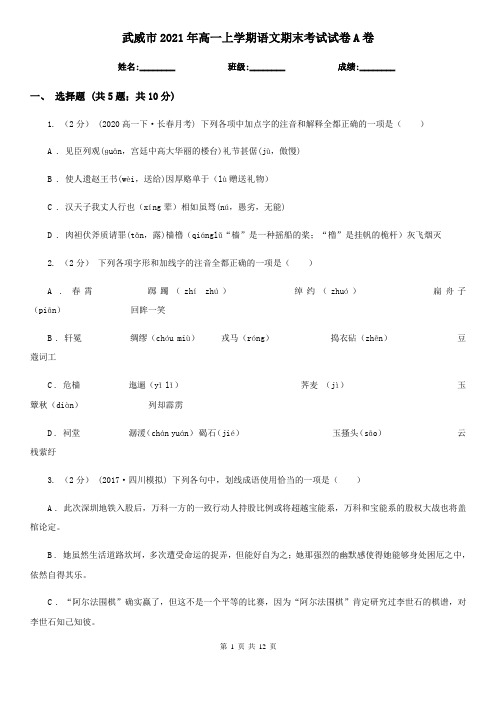 武威市2021年高一上学期语文期末考试试卷A卷