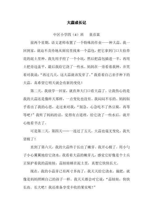 大蒜成长记