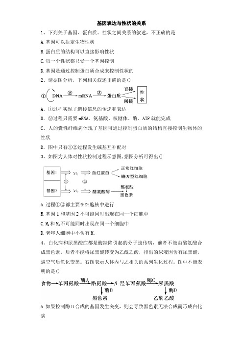 习题2：高中生物人教版2019必修二第四章第二节基因表达与性状的关系