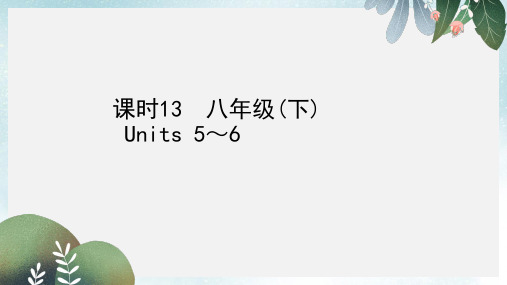 陕西中考英语复习知识梳理课时13八下Units5_6课件