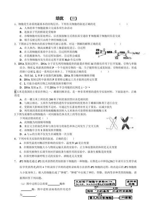 高三下培优三