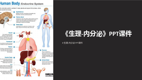 《生理-内分泌》课件