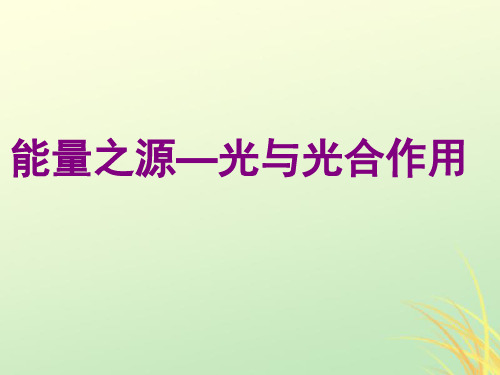 高中生物 专题5.4 能量之源——光与光合作用同步 新人教版必修1