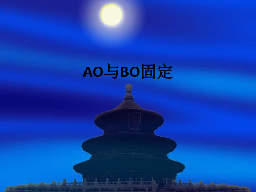 AO与BO固定ppt课件