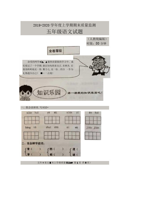 山东省泰安市肥城市2019-2020学年第一学期五年级语文(部编版)期末检测卷(图片版无答案)