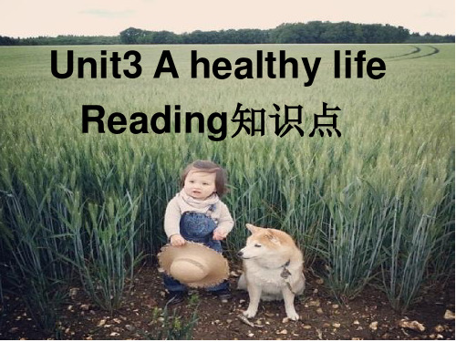 选修六unit3Reading知识点