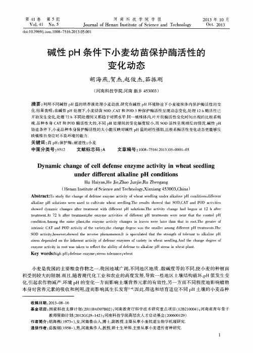 碱性pH条件下小麦幼苗保护酶活性的变化动态