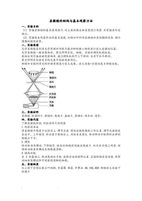 显微镜的结构与基本观察方法实验报告