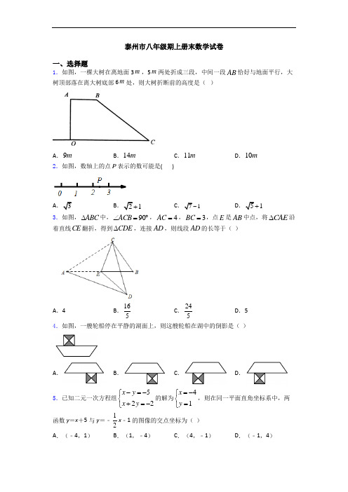 泰州市八年级期上册末数学试卷