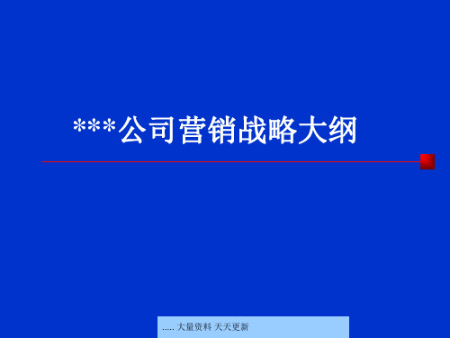 某日用品公司营销战略分析