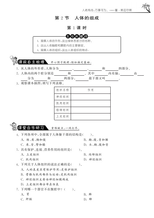 七年级生物下册 第四单元 第9章 第2节 人体和动物体的组成课课练(第1课时)(pdf) 苏科版