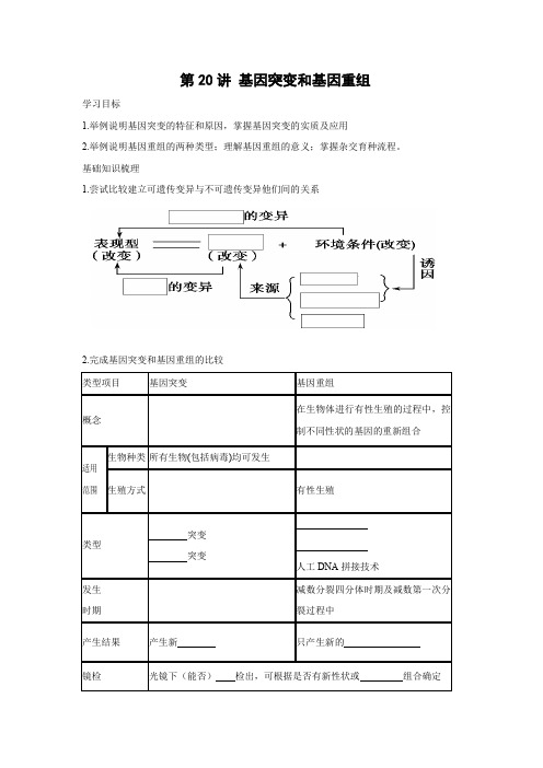 学案5：第20讲 基因突变和基因重组