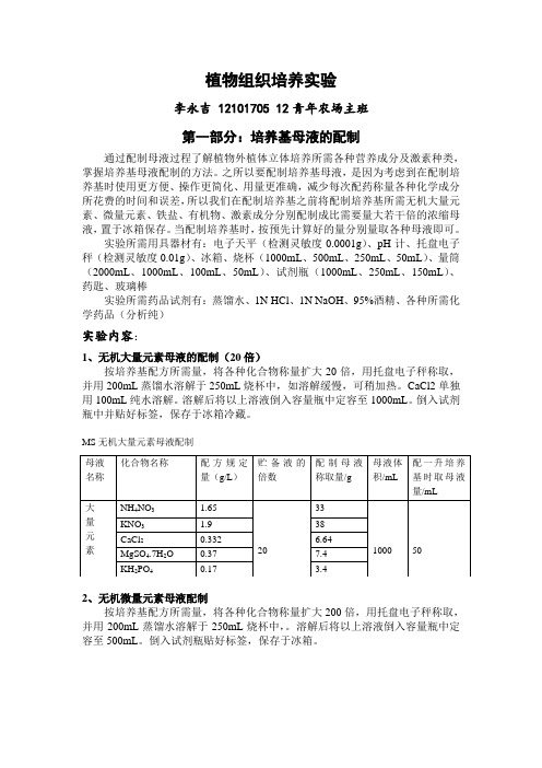 植物组织培养实验报告