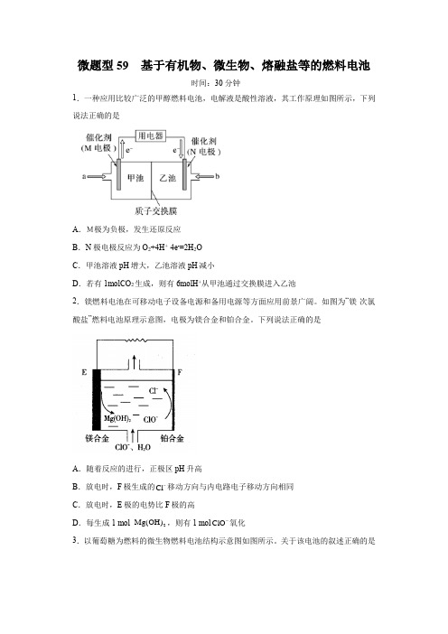 微题型59  基于有机物、微生物、熔融盐等的燃料电池(原卷版)