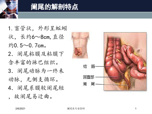 阑尾炎专业资料培训课件