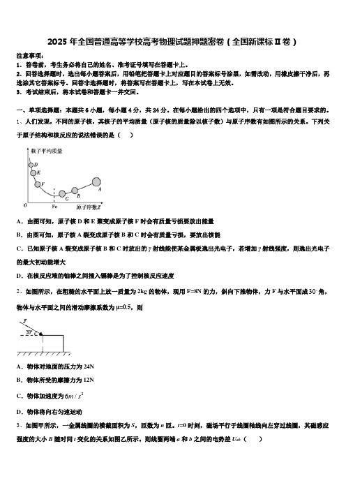 2025年全国普通高等学校高考物理试题押题密卷(全国新课标II卷)含解析