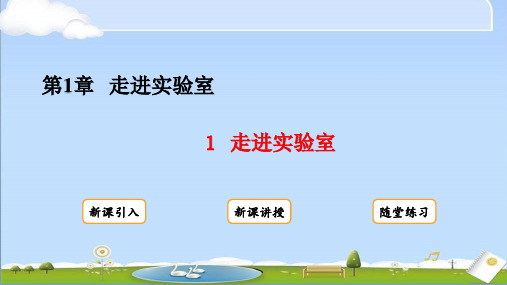 2024年秋新教科版八年级上册物理教学课件 第1章 走进实验室 1 走进实验室