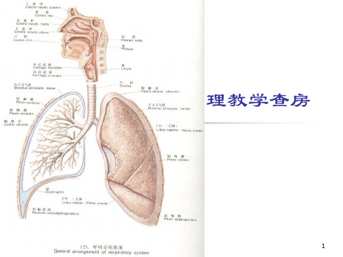 支气管肺炎护理查房ppt课件