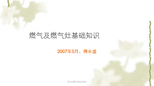 苏泊尔燃气灶知识培训课件