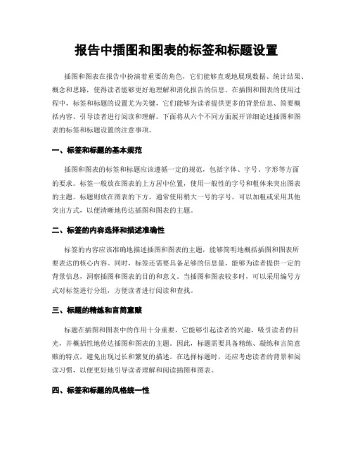 报告中插图和图表的标签和标题设置