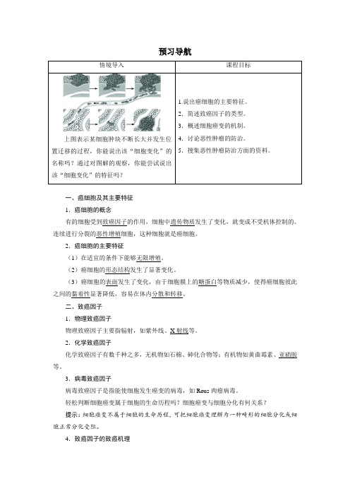 人教版高中生物必修1 导学案第4节 细胞的癌变