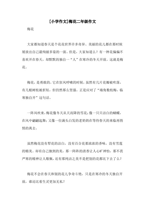 [小学作文]梅花二年级作文
