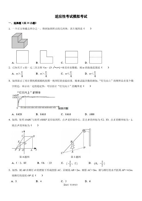 适应性考试模拟卷