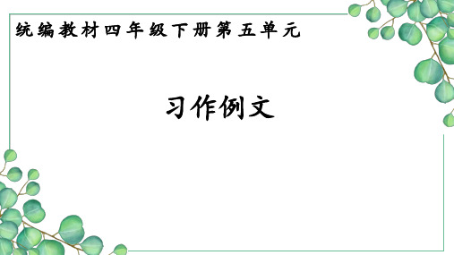 第五单元习作例文课件部编四年级语文下册