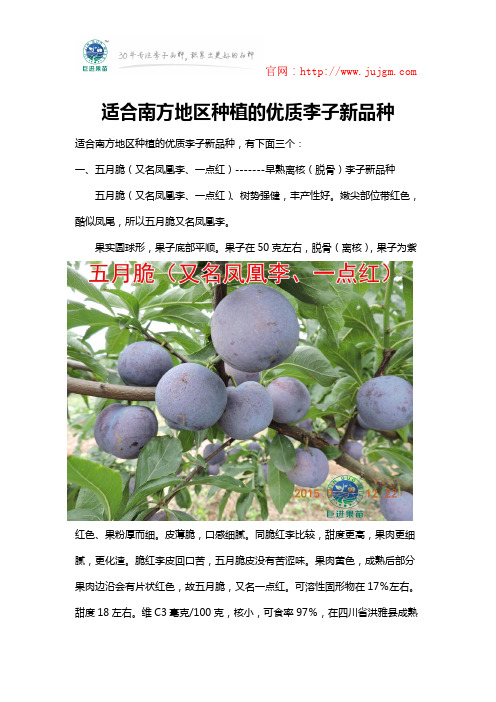 适合南方地区种植的优质李子新品种