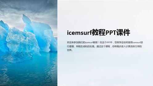 《icemsurf教程》课件